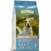 Divinus Adult Mini Pour Petites Races 10 Kg 1 Divinus Adult Mini Pour Petites Races 10 Kg -Royal Croquettes Promos Magasin fre pl Divinus Adult mini pour petites races 10 kg 29593 1