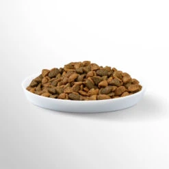 PERFECT FIT Sensitive 1+ Avec Dinde 7kg 8 PERFECT FIT Sensitive 1+ Avec Dinde 7kg -Royal Croquettes Promos Magasin fre pl PERFECT FIT Sensitive 1 avec dinde 7kg 13969 1