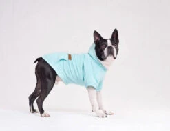 AMIPLAY Sweat-shirt à Capuche Texas Noir 25cm -Royal Croquettes Promos Magasin fre pl AMIPLAY Sweat shirt a capuche Texas noir 25cm 28478 3