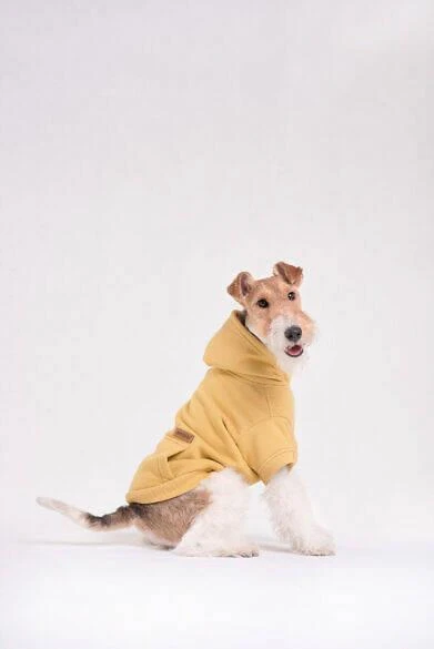 AMIPLAY Sweat-shirt à Capuche Texas Noir 45cm 4 AMIPLAY Sweat-shirt à Capuche Texas Noir 45cm – Image 2