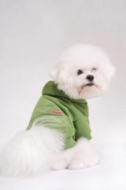 AMIPLAY Sweat-shirt à Capuche Texas Noir 45cm 12 AMIPLAY Sweat-shirt à Capuche Texas Noir 45cm -Royal Croquettes Promos Magasin fre pl AMIPLAY Sweat shirt a capuche Texas noir 45cm 28482 5