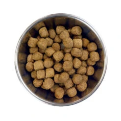 Barking Heads Big Foot Chop Lickin' Agneau Pour Chiens Adultes De Grande Race 12kg 7 Barking Heads Big Foot Chop Lickin' Agneau Pour Chiens Adultes De Grande Race 12kg -Royal Croquettes Promos Magasin fre pl Barking Heads Big Foot Chop Lickin Agneau pour chiens adultes de grande race 12kg 28622 3