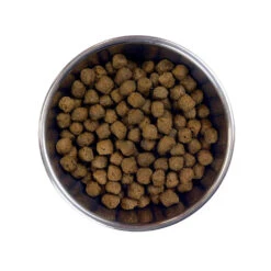 Barking Heads Bœuf Waggington Pour Tous Les Chiens Adultes 12kg -Royal Croquettes Promos Magasin fre pl Barking Heads Boeuf Waggington pour tous les chiens adultes 12kg 28633 3