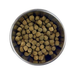 Barking Heads Chop Lickin' Agneau Pour Tous Les Chiens Adultes 12kg -Royal Croquettes Promos Magasin fre pl Barking Heads Chop Lickin Agneau pour tous les chiens adultes 12kg 28619 3