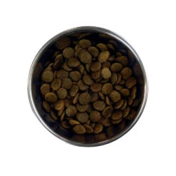 Barking Heads Doggylicious Canard Pour Tous Les Chiens Adultes 12kg -Royal Croquettes Promos Magasin fre pl Barking Heads Doggylicious Canard pour tous les chiens adultes 12kg 28624 3
