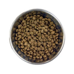 Barking Heads Little Paws Chop Lickin' Agneau Pour Adultes De Petites Races 4kg -Royal Croquettes Promos Magasin fre pl Barking Heads Little Paws Chop Lickin Agneau pour adultes de petites races 4kg 28630 4