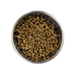 Barking Heads Petite Patte Doggylicious Canard Pour Adultes De Petites Races 4kg -Royal Croquettes Promos Magasin fre pl Barking Heads Petite Patte Doggylicious Canard pour adultes de petites races 4kg 28620 3