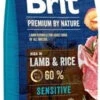 Brit Premium By Nature Sensitive Avec Agneau Et Riz 15kg + Surprise Gratuite Pour Chien -Royal Croquettes Promos Magasin fre pl Brit Premium By Nature Sensitive Avec Agneau Et Riz 15kg Surprise gratuite pour chien 27145 1