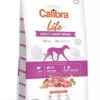 Calibra Dog Life Adulte Agneau Grandes Races 12kg 2 Calibra Dog Life Adulte Agneau Grandes Races 12kg -Royal Croquettes Promos Magasin fre pl Calibra Dog Life Adulte Agneau Grandes Races 12kg 28191 1