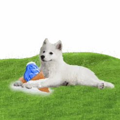 CoolPets Ice PINGWIN Pour Chiens -Royal Croquettes Promos Magasin fre pl CoolPets Ice PINGWIN pour chiens 30501 4