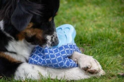 CoolPets Ice PINGWIN Pour Chiens -Royal Croquettes Promos Magasin fre pl CoolPets Ice PINGWIN pour chiens 30501 5