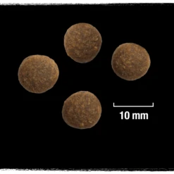 Crave Croquettes Pour Chien Agneau Et Boeuf 11.5kg -Royal Croquettes Promos Magasin fre pl Crave Croquettes pour chien agneau et boeuf 11 5kg 23437 4