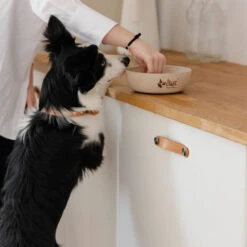 DINGO- Bol Antidérapant En Fibre De Bambou - 1500ml -Royal Croquettes Promos Magasin fre pl DINGO Bol antiderapant en fibre de bambou 1500ml 29828 3