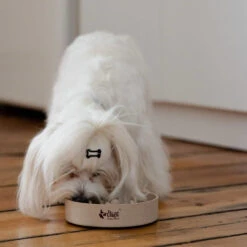 DINGO- Bol Lent En Fibre De Bambou- 800ml -Royal Croquettes Promos Magasin fre pl DINGO bol lent en fibre de bambou 800ml 29822 3