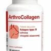 Dolfos ArthroCollagen 90 Comprimés -Royal Croquettes Promos Magasin fre pl Dolfos ArthroCollagen 90 comprimes 9659 1