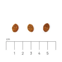 Eminent Cat Light/Sterile 30/10 10kg 11 Eminent Cat Light/Sterile 30/10 10kg -Royal Croquettes Promos Magasin fre pl Eminent Cat Light Sterile 30 10 10kg 29597 5