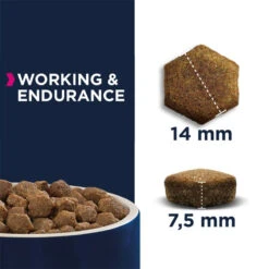 Nouvelles versions -Royal Croquettes Promos Magasin fre pl Eukanuba Daily Care Working Endurance Adult 15kg Surprise gratuite pour votre chien 27335 2