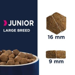Eukanuba Junior Large 15kg 8 Eukanuba Junior Large 15kg -Royal Croquettes Promos Magasin fre pl Eukanuba Junior Large 15kg 11861 3