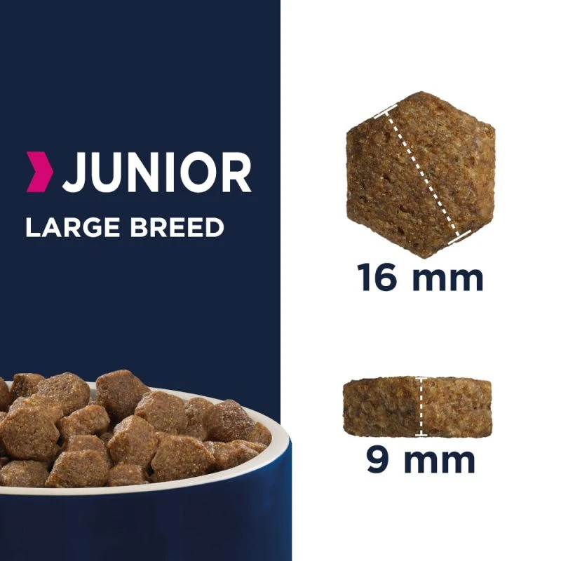 Eukanuba Junior Large 15kg 5 Eukanuba Junior Large 15kg – Image 3