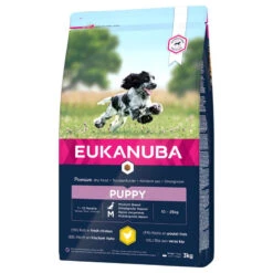 Eukanuba Puppy&Junior Medium Breed 15kg+Surprise Gratuite Pour Votre Chien -Royal Croquettes Promos Magasin fre pl Eukanuba Puppy Junior Medium Breed 15kg Surprise gratuite pour votre chien 27320 4