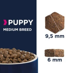 Nouvelles versions -Royal Croquettes Promos Magasin fre pl Eukanuba Puppy Junior Medium Breed 15kg Surprise gratuite pour votre chien 27320 6