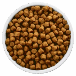 Hills Hill's PD Prescription Diet Canine J/d 12kg -Royal Croquettes Promos Magasin fre pl Hills PD Prescription Diet Canine j d 12kg 12674 4
