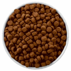 Hills Hill's Prescription Diet Derm Defense Canine Poulet 12kg -Royal Croquettes Promos Magasin fre pl Hills Prescription Diet Derm Defense Canine Poulet 12kg 8722 4