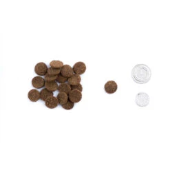 Hubert 23/12 15kg Aliments Secs Pour Chiens De Chasse+Surprise Gratuite Pour Votre Chien -Royal Croquettes Promos Magasin fre pl Hubert 23 12 15kg aliments secs pour chiens de chasse Surprise gratuite pour votre chien 27376 2