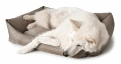 Hunter Bologna Panier Pour Chien Beige Taille S -Royal Croquettes Promos Magasin fre pl Hunter Bologna Panier pour chien Beige Taille S 16593 3