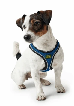 Hunter Hilo Comfort Harnais Pour Chien Bleu Marine Taille M/L -Royal Croquettes Promos Magasin fre pl Hunter Hilo Comfort Harnais pour chien Bleu marine Taille M L 12632 4