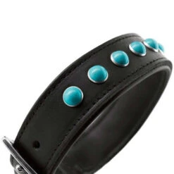 Hunter Modica Collier Pour Chien En Cuir XXS-XS 25cm 11 Hunter Modica Collier Pour Chien En Cuir XXS-XS 25cm -Royal Croquettes Promos Magasin fre pl Hunter Modica collier pour chien en cuir XXS XS 25cm 28229 4