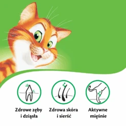 KITEKAT - Nourriture Sèche Pour Chats Avec Poisson Et Aux Légumes 12kg +Surprise Gratuit Pour Chat -Royal Croquettes Promos Magasin fre pl KITEKAT nourriture seche pour chats avec poisson et aux legumes 12kg Surprise gratuit pour chat 27800 5