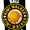 Kiwi Walker Let's Play BALL Maxi Balle Orange -Royal Croquettes Promos Magasin fre pl Kiwi Walker Lets Play BALL Maxi balle orange 29860 1