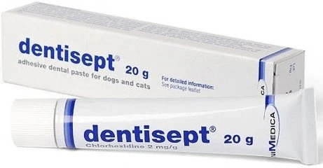 LIVISTO DENTISEPT Dentifrice Adhésif Pour Chiens Et Chats 20g 4 LIVISTO DENTISEPT Dentifrice Adhésif Pour Chiens Et Chats 20g – Image 2