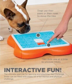 Nina Ottosson Dog Challenge Slider - Un Jeu Interactif Pour Les Chiens - Niveau 3. -Royal Croquettes Promos Magasin fre pl Nina Ottosson Dog Challenge Slider un jeu interactif pour les chiens niveau 3 25986 4