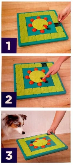 Nina Ottosson Dog MultiPuzzle - Un Jeu Interactif Pour Les Chiens - Niveau 4. -Royal Croquettes Promos Magasin fre pl Nina Ottosson Dog MultiPuzzle un jeu interactif pour les chiens niveau 4 25960 3