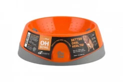 OH Bowl® Bol D'hygiène Buccale Pour Chien Orange Taille L -Royal Croquettes Promos Magasin fre pl OH Bowl R Bol dhygiene buccale pour chien Orange Taille L 29741 4