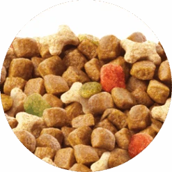 PURINA Friskies Junior 15kg -Royal Croquettes Promos Magasin fre pl PURINA Friskies Junior 15kg 15549 2