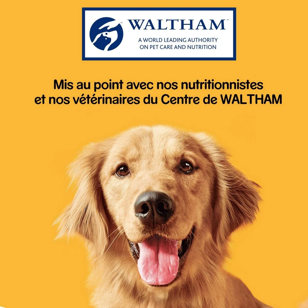 Pedigree Biscrok Biscuits Pour Chiens Adultes Sous Forme De Petits Os Avec De L'agneau, Du Poulet Et Du Bœuf 200g X2 8 Pedigree Biscrok Biscuits Pour Chiens Adultes Sous Forme De Petits Os Avec De L'agneau, Du Poulet Et Du Bœuf 200g X2 – Image 6