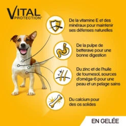 Pedigree Croquettes Humides En Gelée Pour Chiens Adultes Avec Boeuf, Poulet, Agneau, Volaille 12x100g 10 Pedigree Croquettes Humides En Gelée Pour Chiens Adultes Avec Boeuf, Poulet, Agneau, Volaille 12x100g -Royal Croquettes Promos Magasin fre pl Pedigree Croquettes humides en gelee pour chiens adultes avec boeuf poulet agneau volaille 12x100g 9891 4