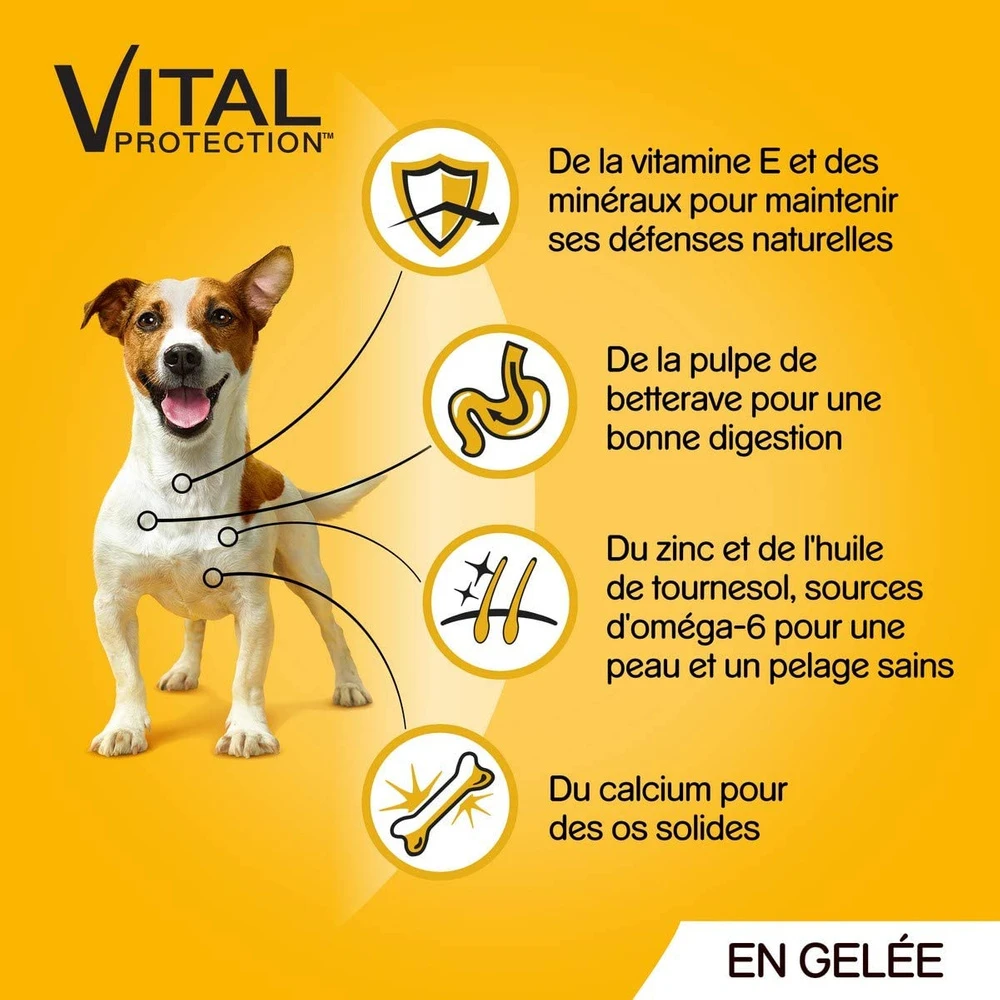 Pedigree Croquettes Humides En Gelée Pour Chiens Adultes Avec Boeuf, Poulet, Agneau, Volaille 12x100g 5 Pedigree Croquettes Humides En Gelée Pour Chiens Adultes Avec Boeuf, Poulet, Agneau, Volaille 12x100g – Image 3
