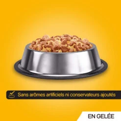 Pedigree Croquettes Humides En Gelée Pour Chiens Adultes Avec Boeuf, Poulet, Agneau, Volaille 12x100g 12 Pedigree Croquettes Humides En Gelée Pour Chiens Adultes Avec Boeuf, Poulet, Agneau, Volaille 12x100g -Royal Croquettes Promos Magasin fre pl Pedigree Croquettes humides en gelee pour chiens adultes avec boeuf poulet agneau volaille 12x100g 9891 7