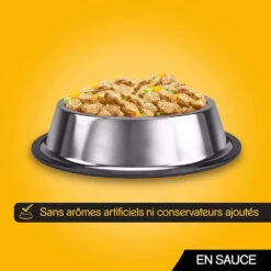 Pedigree Croquettes Pour Chiens Adultes Au Poulet, Au Bœuf, à La Dinde Et à L'agneau 12x100g -Royal Croquettes Promos Magasin fre pl Pedigree Croquettes pour chiens adultes au poulet au boeuf a la dinde et a lagneau 12x100g 9892 6