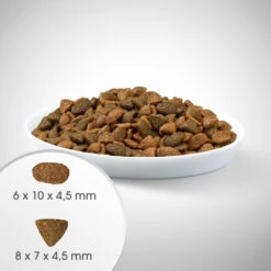 Perfect Fit™ - Aliment Complet Sec Pour Chats Adultes Non-existants, Riche En Poulet 7kg -Royal Croquettes Promos Magasin fre pl Perfect Fit TM aliment complet sec pour chats adultes non existants riche en poulet 7kg 26906 4