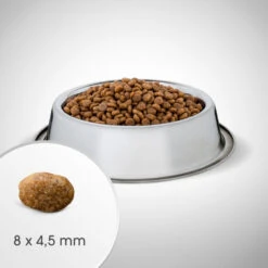 Perfect Fit™ - Aliment Complet Sec Pour Chiens Adultes Sensibles De Petites Races, Riche En Dinde 6kg. -Royal Croquettes Promos Magasin fre pl Perfect Fit TM aliment complet sec pour chiens adultes sensibles de petites races riche en dinde 6kg 26911 5