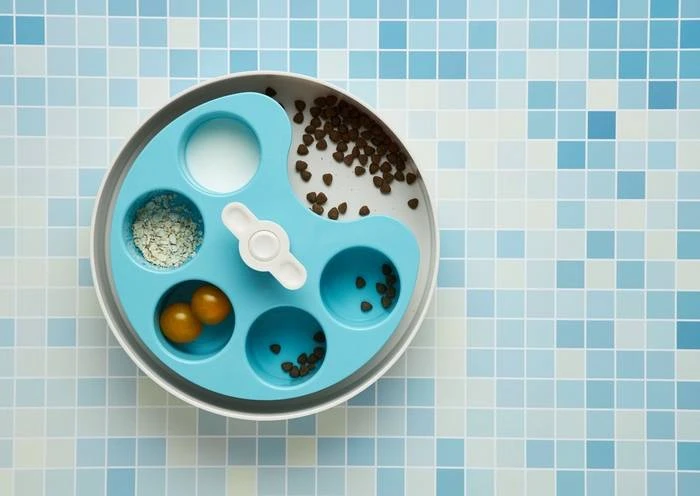 Pet Dream House Spin Palette Blue Medium - Bol Interactif 7 Pet Dream House Spin Palette Blue Medium - Bol Interactif – Image 5