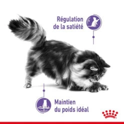 ROYAL CANIN Appetite Control Care 400g X2 10 ROYAL CANIN Appetite Control Care 400g X2 -Royal Croquettes Promos Magasin fre pl ROYAL CANIN Appetite Control Care 400g x2 30741 3