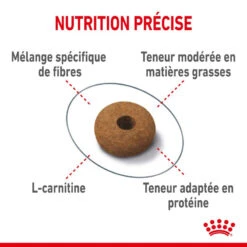 ROYAL CANIN Appetite Control Care 400g X2 12 ROYAL CANIN Appetite Control Care 400g X2 -Royal Croquettes Promos Magasin fre pl ROYAL CANIN Appetite Control Care 400g x2 30741 5