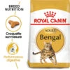ROYAL CANIN Bengal Adult 10kg -Royal Croquettes Promos Magasin fre pl ROYAL CANIN Bengal Adult 10kg 15888 1