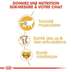 ROYAL CANIN British Shorthair Adult 10kg -Royal Croquettes Promos Magasin fre pl ROYAL CANIN British Shorthair Adult 10kg 15952 5